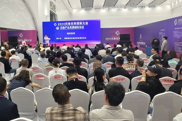 海口商务会议包车指南