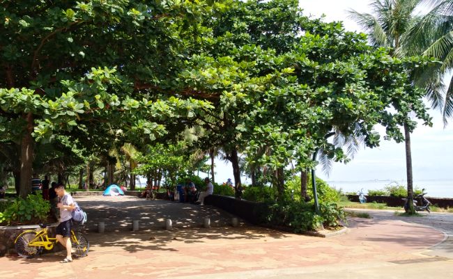 1534756090209062.png QQ截图20180819155955.png