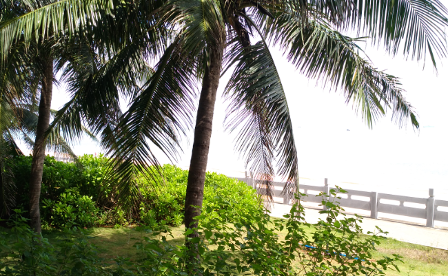 1534757084920107.png QQ截图20180819161240.png