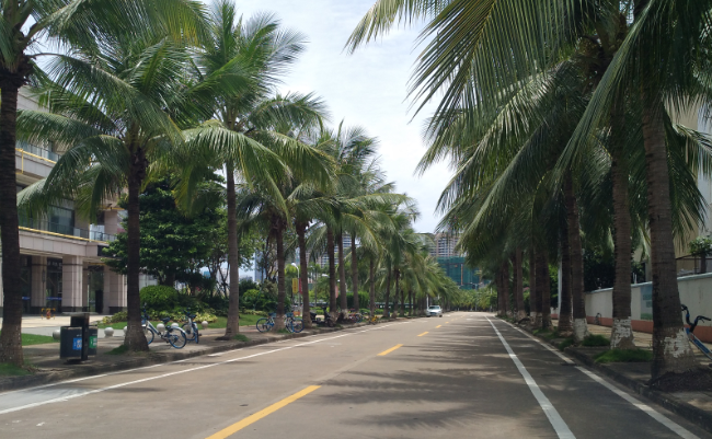 QQ截图20180819181246.png