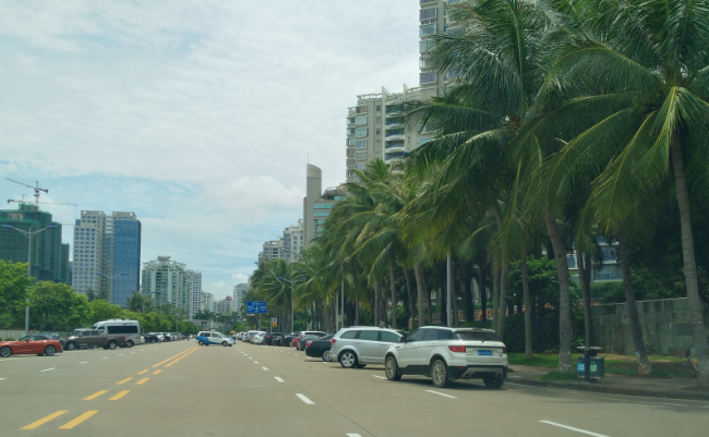 海口道路景观