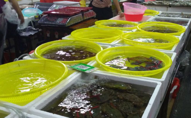 海口租车旅游小心海鲜宰客