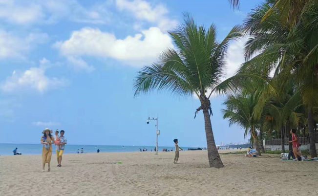 海口租车违章怎么处理